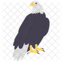 Eagle American Eagle Emblem Icon