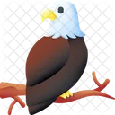 Eagle Bird Animal Icon