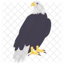 Eagle  Icon