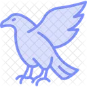 Eagle Bird Predator Icon