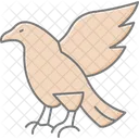 Eagle Bird Predator Icon