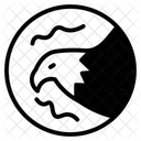 Eagle  Icon
