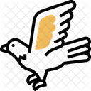 Eagle  Icon