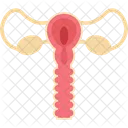 Body organ  Icon
