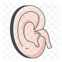 Ear Hearing Sense Ear Organ Icon