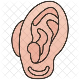 Ear  Icon