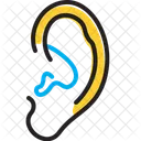 Ear Audible Anatomy Icon