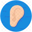 Ear Body Organ Body Part Icon