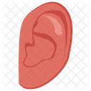 Ear Hearing Organ Icon