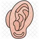 Ear  Icon