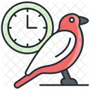 Early Bird Offer Promotion Icon