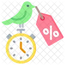 Early Bird Limited Offer Time Icon