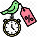 Early Bird Limited Offer Time Icon