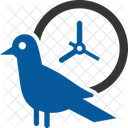 Early Bird  Icon