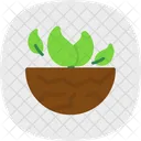 Earth Ecologic  Icon