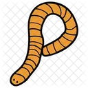 Earthworm Roundworm Insect Icon