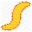 Earthworm Icon