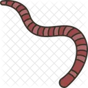 Earthworm Prey Lure Icon