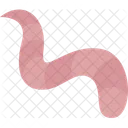 Earthworm  Icon