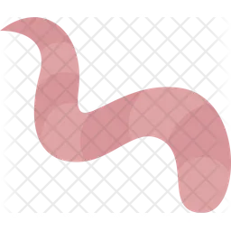 Earthworm  Icon