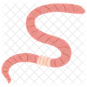 Earthworm Worm Detritivores Icon