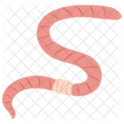 Earthworm  Icon