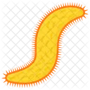 Earthworm  Icon