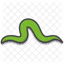 Earthworm  Icon