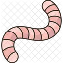 Earthworm  Icon