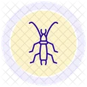 Earwig Insect Pincer Icon
