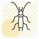 Earwig Insect Pincer Icon