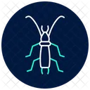 Earwig Insect Pincer Icon