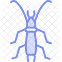 Earwig Insect Pincer Icon