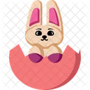 Easter Bunny Hatch Icon