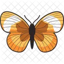 Easter Butterfly Icon