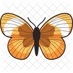 Easter Butterfly  Icon