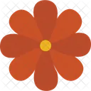 Easter Flower Lily Bloom Spring Blossom Icon