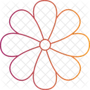 Easter Flower Lily Bloom Spring Blossom Icon