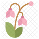 Nature Blossom Spring Flower Icon