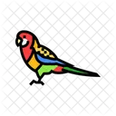 Eastern Rosella Parrot Icône