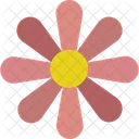 Easy Flower  Icon