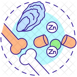Eat foods high in zinc  Icon
