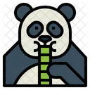 Eating Panda  Icon