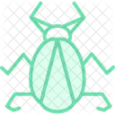 Eau Insecte Arpenteur Icon