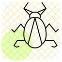 Eau Insecte Arpenteur Icône