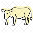 Vache Buvant De Leau Vache Buvant Icône