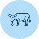 Vache Buvant De Leau Vache Buvant Icône