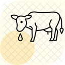 Vache Buvant De Leau Vache Buvant Icône