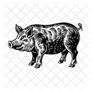 Wildschwein Schwein Tier Symbol