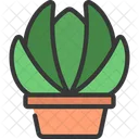 에케베리아 식물  아이콘